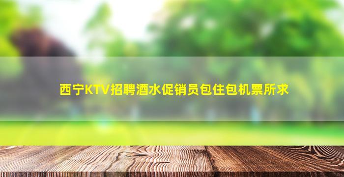 西宁KTV招聘酒水促销员包住包机票所求